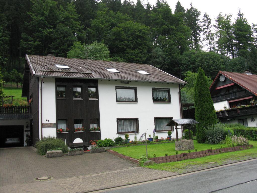 Ferienwohnung Gohlke Kamschlacken Kamer foto